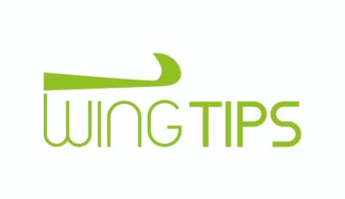 wingtips - logo