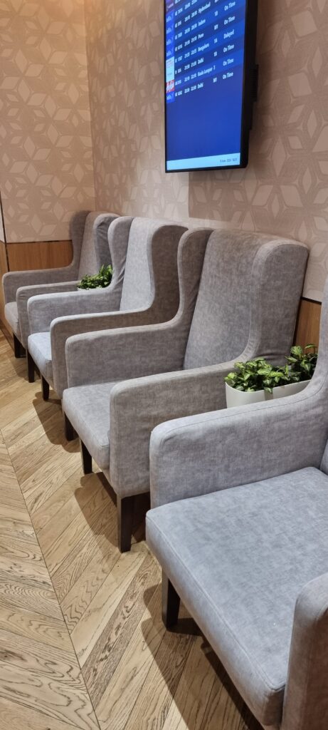 a row of chairs with plants in them