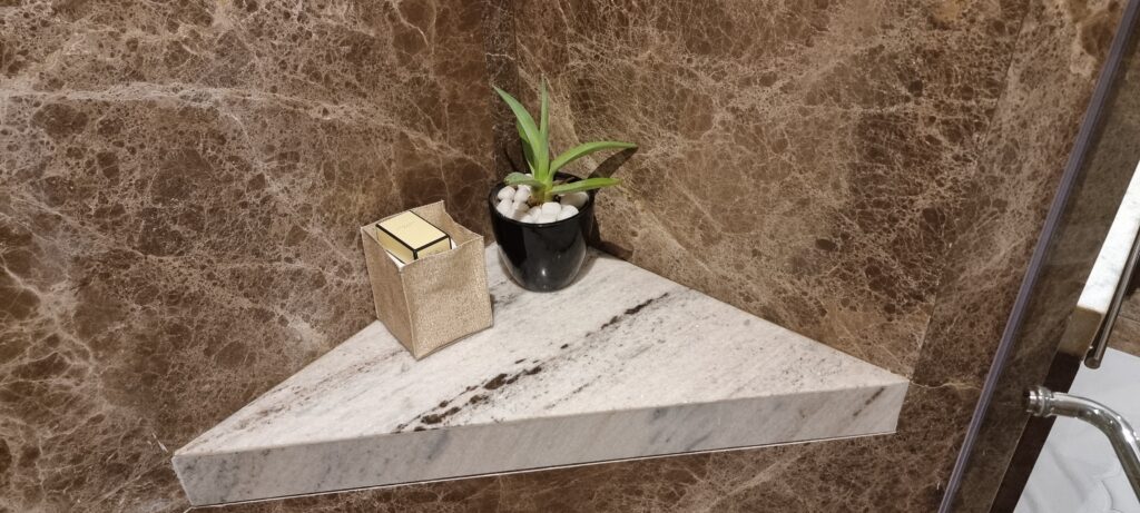 a plant in a pot on a marble shelf