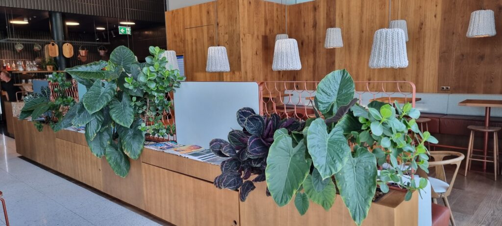 a room with plants and a wood wall