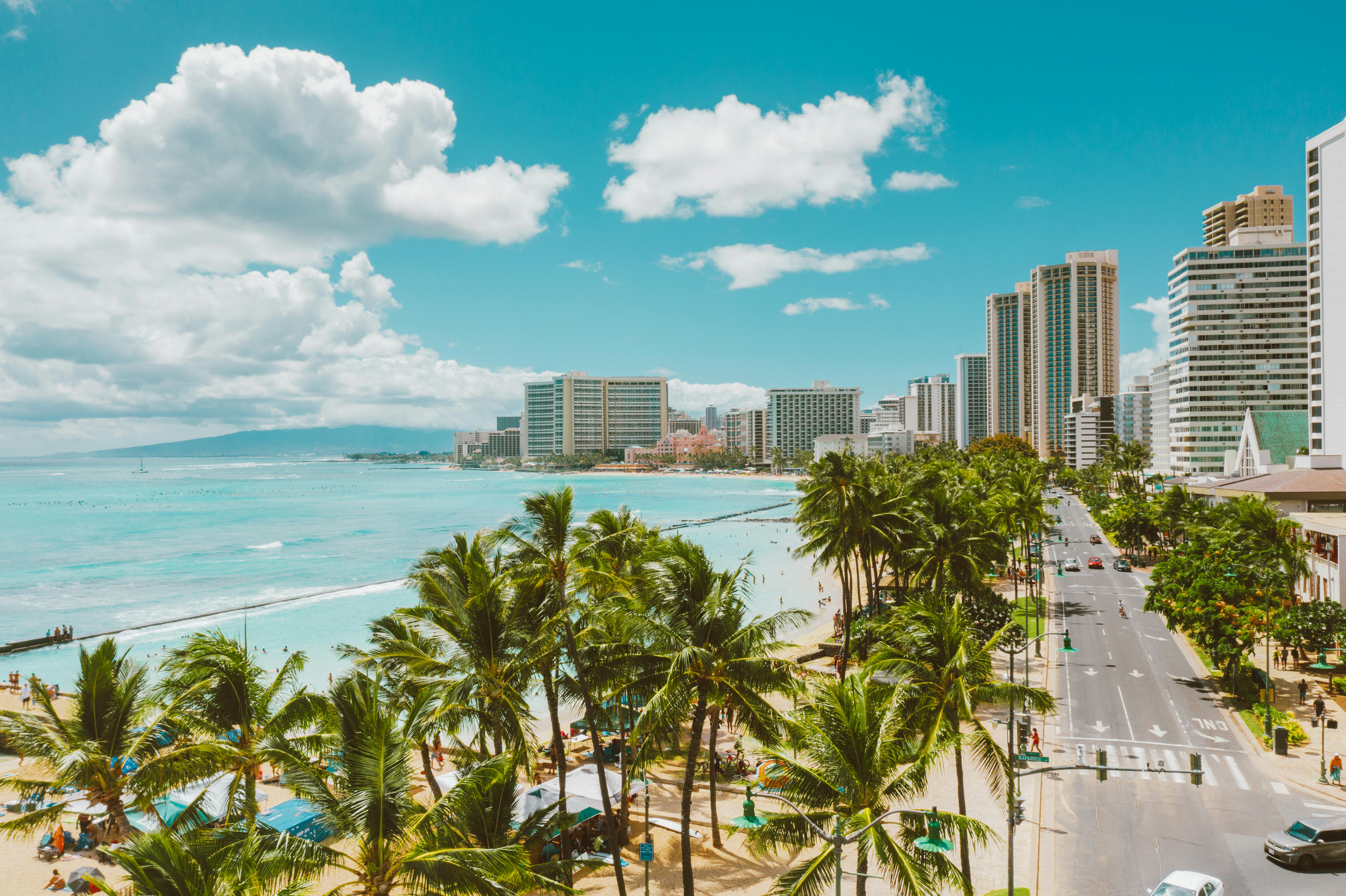 a beach with palm trees and buildings Accor Live Limitless