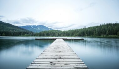a dock leading to a lake BA Amex Business Card